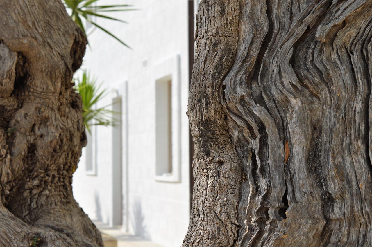 Masseria Torrepietra Монополи Экстерьер фото