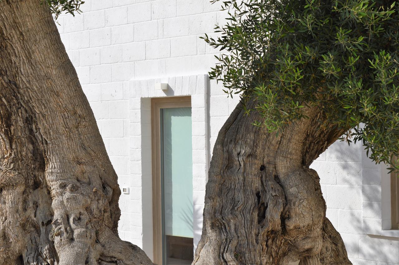Masseria Torrepietra Монополи Экстерьер фото
